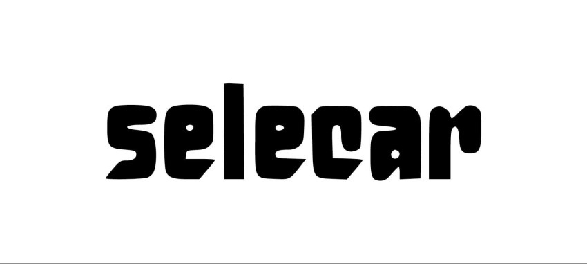 Selecar Rally Lana